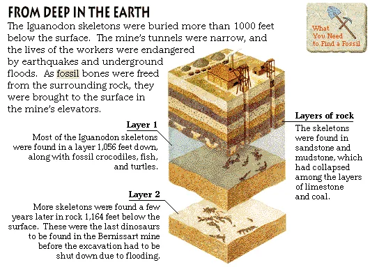 From Deep in the Earth