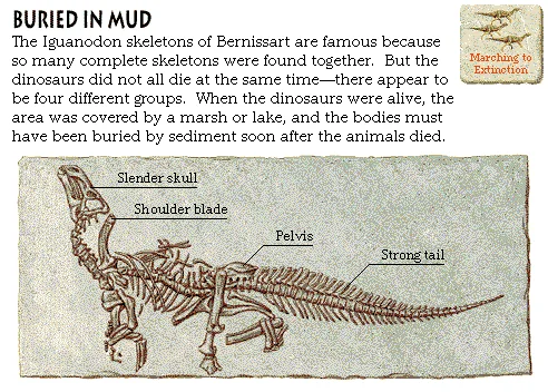 Buried in Mud