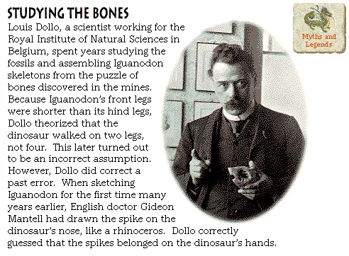 Studying the Bones