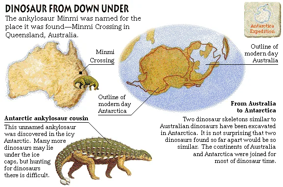 Dinosaur from Down Under