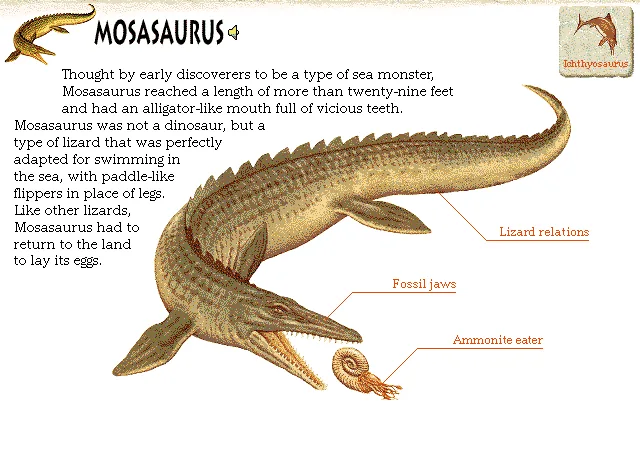 Mosasaurus