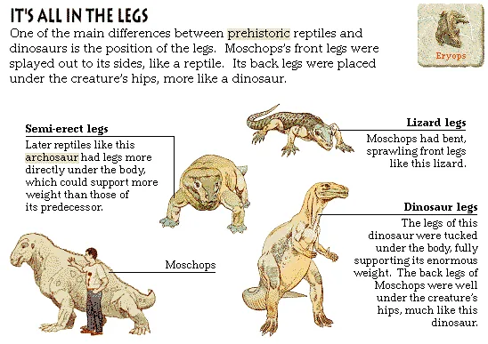 It's All in the Legs