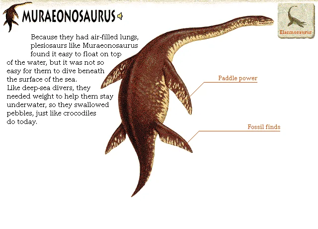 Muraenosaurus