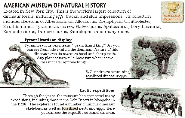 American Museum of Natural History