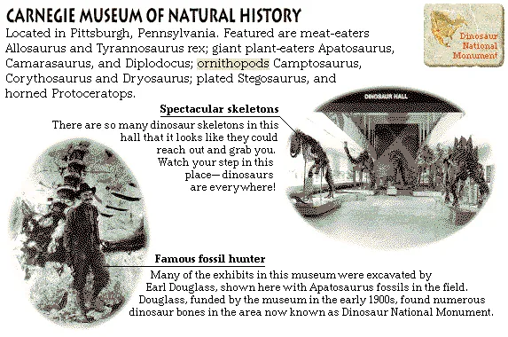 Carnegie Museum of Natural History