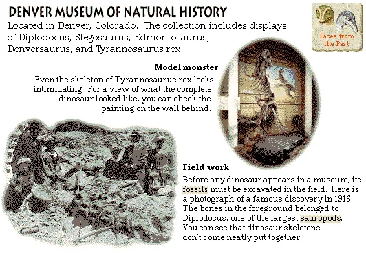 Denver Museum of Natural History