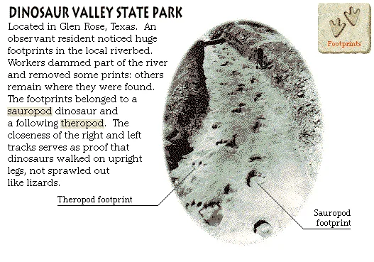 Dinosaur Valley State Park