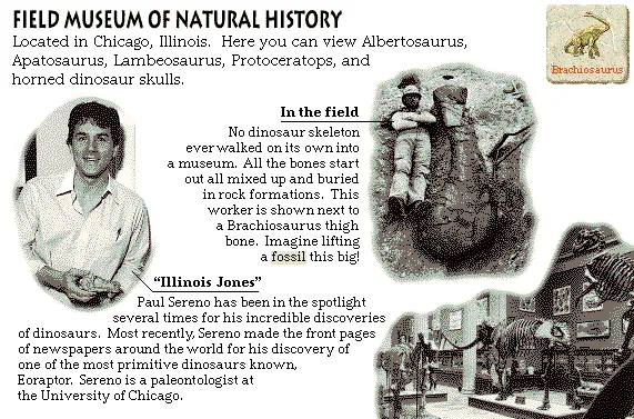 Field Museum of Natural History