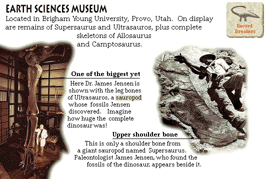 Earth Sciences Museum