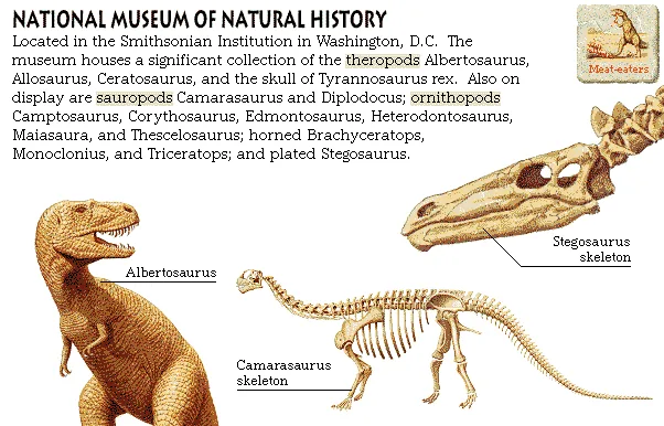 National Museum of Natural History