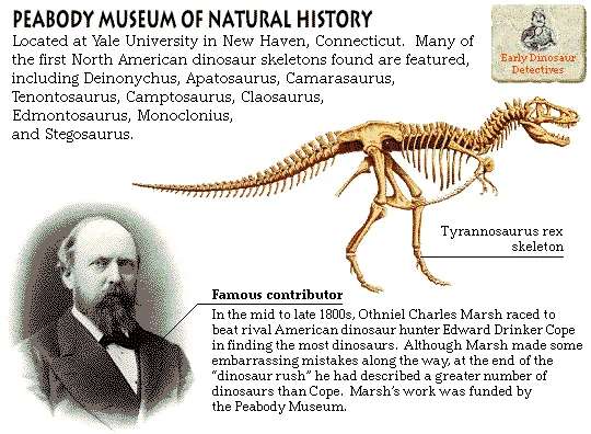 Peabody Museum of Natural History
