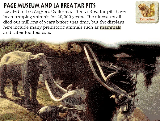 Page Museum and La Brea Tar Pits