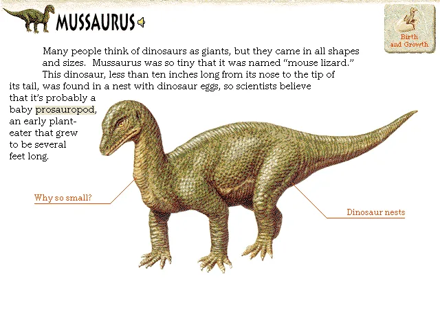 Mussaurus