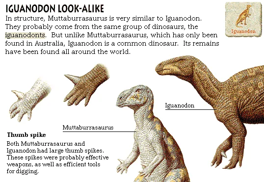 Iguanodon Look-Alike