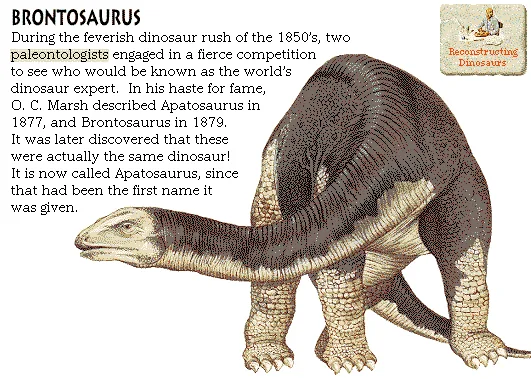 Brontosaurus