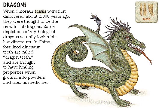 Dragons