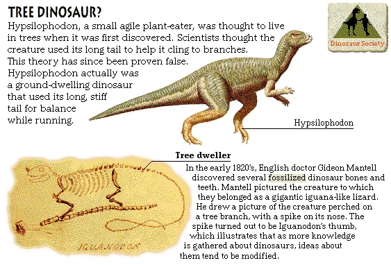 Tree Dinosaur?