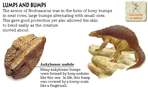 Lumps and Bumps