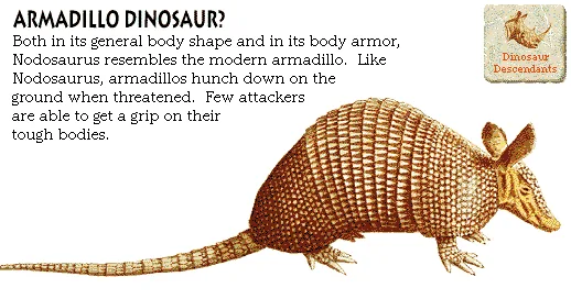 Armadillo Dinosaur?