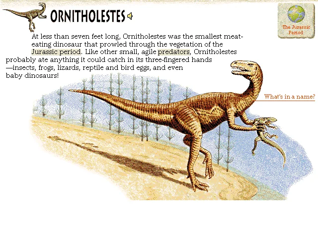 Ornitholestes