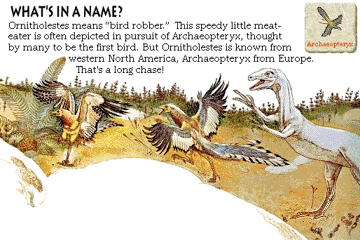 What's in a Name?
