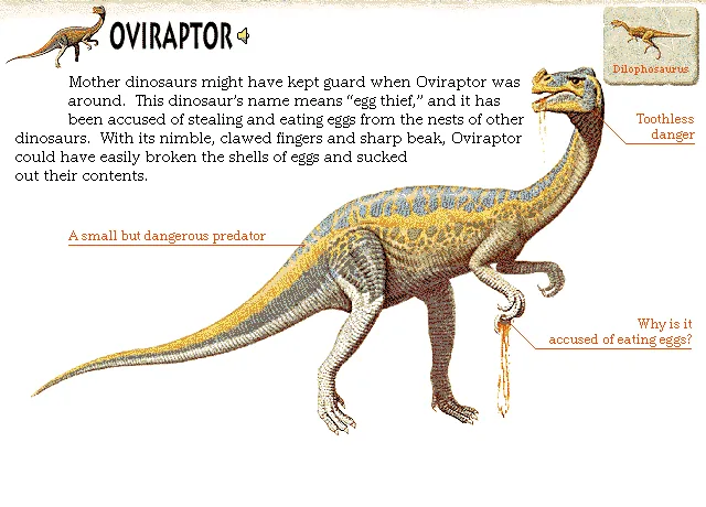 Oviraptor
