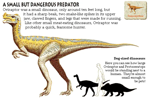 A Small But Dangerous Predator