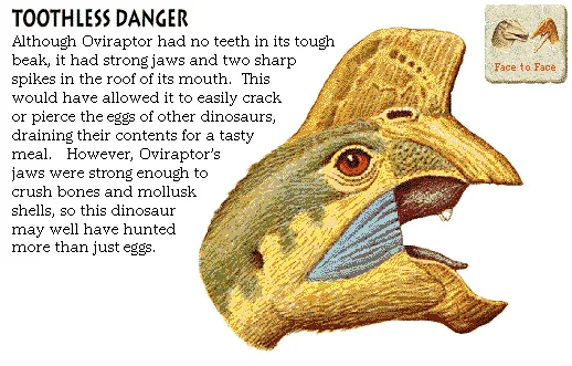 Toothless Danger