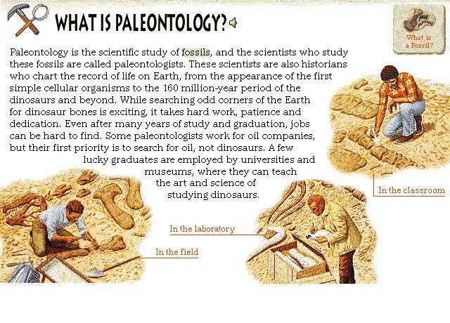 What Is Paleontology?