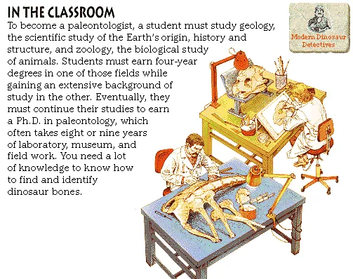 In the Classroom
