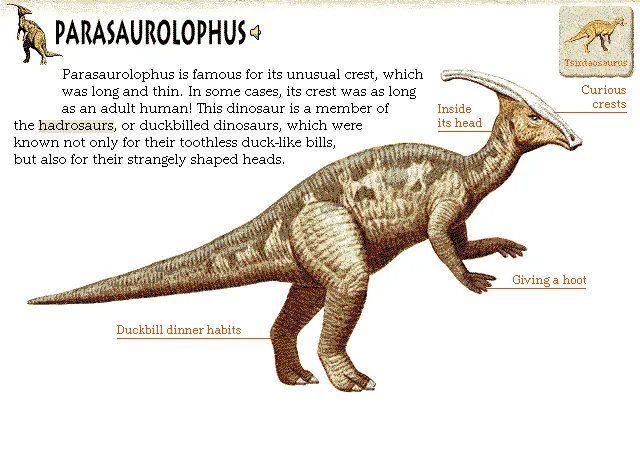 Parasaurolophus