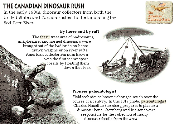 The Canadian Dinosaur Rush