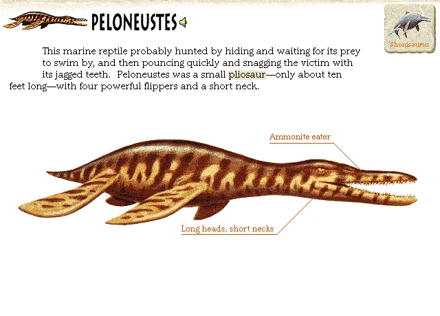 Peloneustes