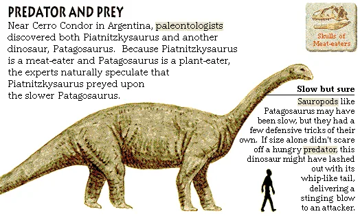 Predator and Prey