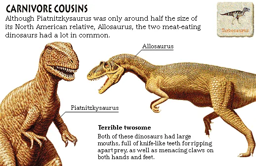 Carnivore Cousins
