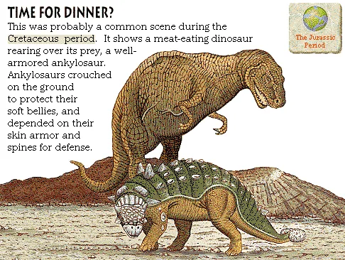 Time for dinner?