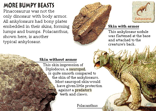 More bumpy beasts