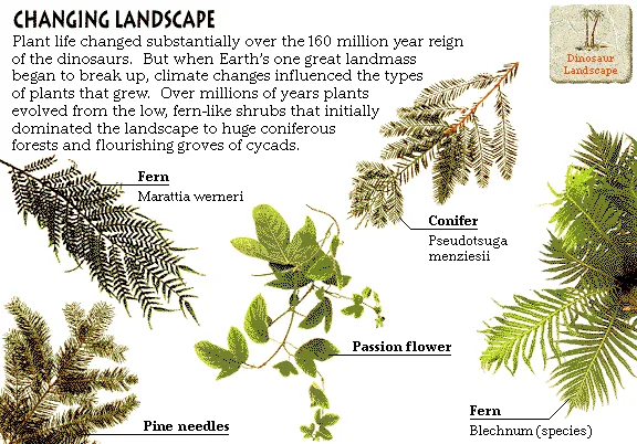 Changing Landscape