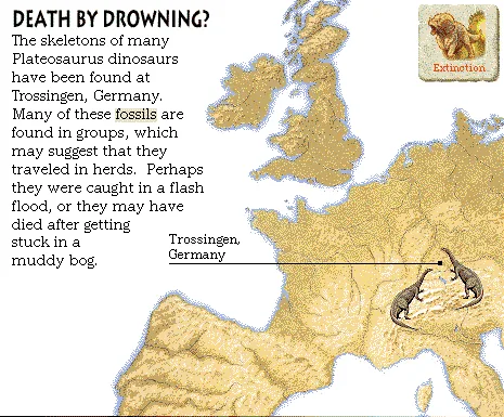 Death by Drowning?