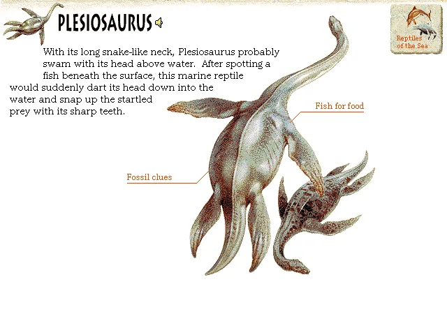 Plesiosaurus