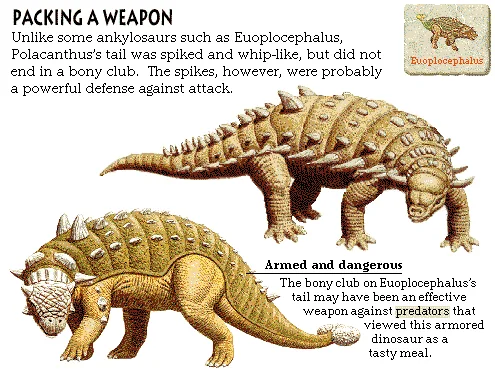 Packing a Weapon