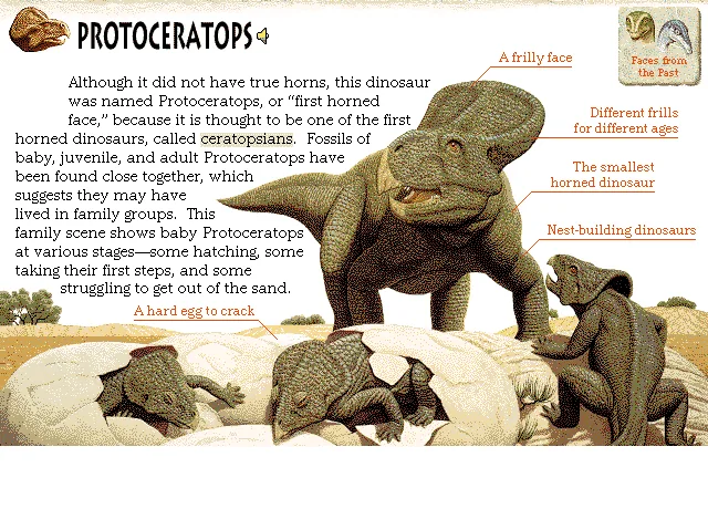 Protoceratops