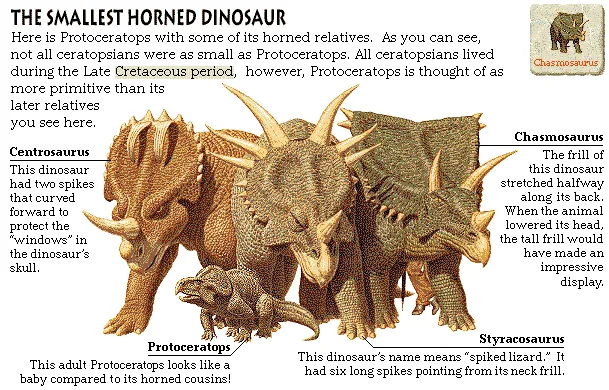 The Smallest Horned Dinosaur
