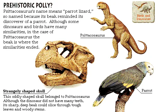 Prehistoric Polly?