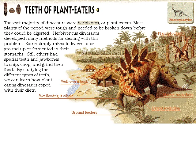 Teeth of Plant-Eaters