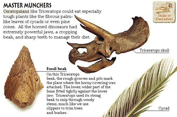 Master Munchers