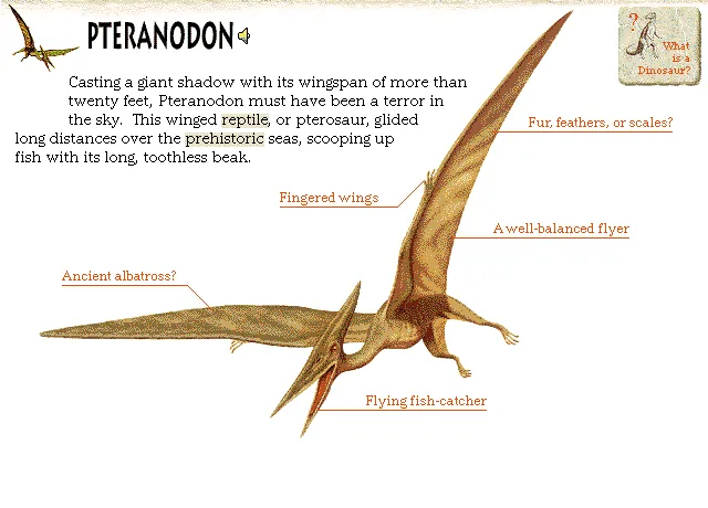 Pteranodon