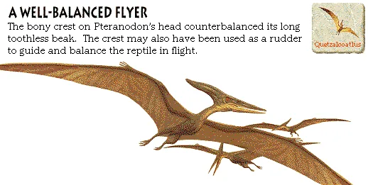 A Well-Balanced Flyer