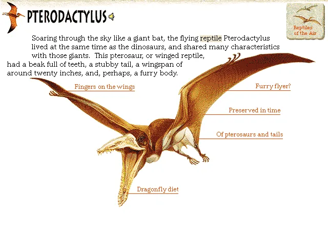 Pterodactylus