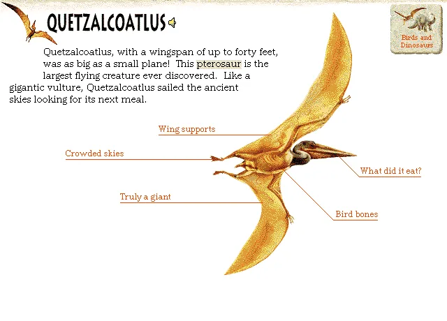 Quetzalcoatlus